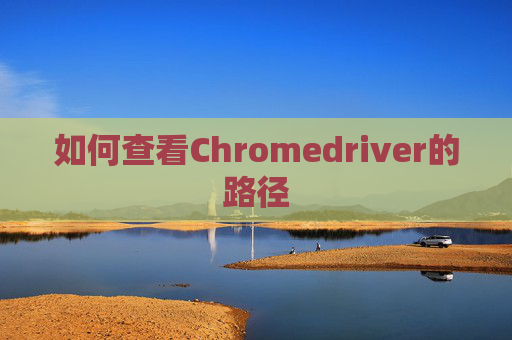 如何查看Chromedriver的路径